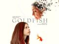GOLDFISH TRAILER: Kalki Koechlin and Deepti Naval starrer will leave you deep in your emotions - Hindi News | GOLDFISH TRAILER: Kalki Koechlin and Deepti Naval starrer will leave you deep in your emotions | Latest entertainment News at Lokmattimes.com