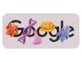 International Women's Day 2025 Doodle: Google Honours Women in STEM Fields on Women's Day - Hindi News | International Women's Day 2025 Doodle: Google Honours Women in STEM Fields on Women's Day | Latest lifestyle News at Lokmattimes.com