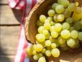 Nashik; Indian Grapes exports to European countries - Hindi News | Nashik; Indian Grapes exports to European countries | Latest nashik News at Lokmattimes.com