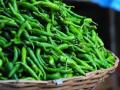 Mumbai: Green Chilli Prices Increase by Rs. 125–160 per Kilo Amid Rising Heatwave In the City - Hindi News | Mumbai: Green Chilli Prices Increase by Rs. 125–160 per Kilo Amid Rising Heatwave In the City | Latest mumbai News at Lokmattimes.com