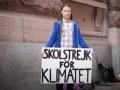 Greta Thunberg refuses to accept environmental award - Hindi News | Greta Thunberg refuses to accept environmental award | Latest international News at Lokmattimes.com