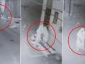 Gwalior Horror: Mysterious Woman Rings Doorbells at Midnight, Frightening Animals and Residents In Madhya Pradesh (Watch Video) - Hindi News | Gwalior Horror: Mysterious Woman Rings Doorbells at Midnight, Frightening Animals and Residents In Madhya Pradesh (Watch Video) | Latest national News at Lokmattimes.com