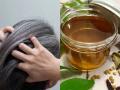 Hair Care: How to Make Ayurvedic Oil to Reverse Gray Hair - Hindi News | Hair Care: How to Make Ayurvedic Oil to Reverse Gray Hair | Latest lifestyle News at Lokmattimes.com