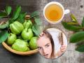 Hair Fall Remedy: How Guava Leaves Can Boost Hair Growth Naturally - Hindi News | Hair Fall Remedy: How Guava Leaves Can Boost Hair Growth Naturally | Latest lifestyle News at Lokmattimes.com