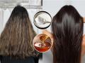 DIY Hair Spa at Home: Yogurt and Honey for Soft, Shiny Hair - Hindi News | DIY Hair Spa at Home: Yogurt and Honey for Soft, Shiny Hair | Latest lifestyle News at Lokmattimes.com