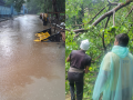 Thane Rains: Heavy Downpour Causes Severe Waterlogging in City, Trees Uprooted, Schools Shut (Watch Video) - Hindi News | Thane Rains: Heavy Downpour Causes Severe Waterlogging in City, Trees Uprooted, Schools Shut (Watch Video) | Latest thane News at Lokmattimes.com