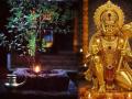 Hanuman Jayanti 2026: Powerful Tulsi Remedy to Remove Negative Energy and Obstacles - Hindi News | Hanuman Jayanti 2026: Powerful Tulsi Remedy to Remove Negative Energy and Obstacles | Latest lifestyle News at Lokmattimes.com
