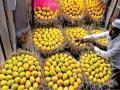 Mango Season 2025: Devgad Hapus Leads Market Amid Climate Challenges, Ratnagiri Hapus in Short Supply - Hindi News | Mango Season 2025: Devgad Hapus Leads Market Amid Climate Challenges, Ratnagiri Hapus in Short Supply | Latest maharashtra News at Lokmattimes.com