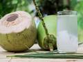 Is Coconut Water Safe For Elderly? Experts Warn of Hidden Health Risk - Hindi News | Is Coconut Water Safe For Elderly? Experts Warn of Hidden Health Risk | Latest lifestyle News at Lokmattimes.com