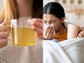 Monsoon Season: Runny Nose and Cold? This Tasty Drink Will Give You Quick Relief - Hindi News | Monsoon Season: Runny Nose and Cold? This Tasty Drink Will Give You Quick Relief | Latest health News at Lokmattimes.com