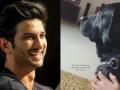 Sushant Singh Rajput was strangulated to death with his pet dog's belt says, former assistant - Hindi News | Sushant Singh Rajput was strangulated to death with his pet dog's belt says, former assistant | Latest entertainment News at Lokmattimes.com