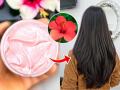 Homemade Hibiscus Hair Conditioner: Natural Remedy for Soft, Shiny, and Thick Hair - Hindi News | Homemade Hibiscus Hair Conditioner: Natural Remedy for Soft, Shiny, and Thick Hair | Latest lifestyle News at Lokmattimes.com