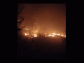 Himachal Pradesh Forest Fire: Property Worth Crores Lost as Massive Blaze Erupts in Manali (Watch Video) - Hindi News | Himachal Pradesh Forest Fire: Property Worth Crores Lost as Massive Blaze Erupts in Manali (Watch Video) | Latest national News at Lokmattimes.com