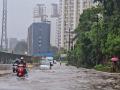 Pune: Heavy Rains Cause Waterlogging in Hinjawadi IT Park; Traffic Disrupted - Hindi News | Pune: Heavy Rains Cause Waterlogging in Hinjawadi IT Park; Traffic Disrupted | Latest pune News at Lokmattimes.com
