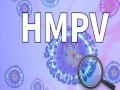 HMPV Virus: Panvel Municipal Corporation Health System on High Alert Amid Rising Cases - Hindi News | HMPV Virus: Panvel Municipal Corporation Health System on High Alert Amid Rising Cases | Latest navi-mumbai News at Lokmattimes.com