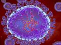 HMPV Outbreak: Third Case Reported In India After Two-Year Old Tests Positive In Ahmedabad - Hindi News | HMPV Outbreak: Third Case Reported In India After Two-Year Old Tests Positive In Ahmedabad | Latest national News at Lokmattimes.com