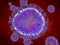 HMPV: Long-Known Virus with Cold-like Symptoms, No Need for Panic, Say Experts - Hindi News | HMPV: Long-Known Virus with Cold-like Symptoms, No Need for Panic, Say Experts | Latest national News at Lokmattimes.com