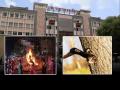 Holi 2025: Cutting Trees for Holika Dahan? Pune Municipal Corporation Will Fine You Rs 1 Lakh - Hindi News | Holi 2025: Cutting Trees for Holika Dahan? Pune Municipal Corporation Will Fine You Rs 1 Lakh | Latest pune News at Lokmattimes.com