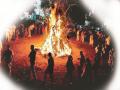 Holi 2024: BMC Urges Public Action Against Illicit Tree Cutting for Holika Bonfire - Hindi News | Holi 2024: BMC Urges Public Action Against Illicit Tree Cutting for Holika Bonfire | Latest maharashtra News at Lokmattimes.com