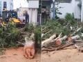 West Bengal: Two Workers Die as Tree Falls Near Howrah Municipal Office - Hindi News | West Bengal: Two Workers Die as Tree Falls Near Howrah Municipal Office | Latest national News at Lokmattimes.com