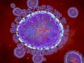 HMPV Virus: Uttarakhand Issues Advisory to Prevent Respiratory Diseases Amid Global Spread of Human Metapneumovirus - Hindi News | HMPV Virus: Uttarakhand Issues Advisory to Prevent Respiratory Diseases Amid Global Spread of Human Metapneumovirus | Latest national News at Lokmattimes.com