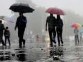 IMD warns of heavy rainfall, flash floods in Central India, red alert issued for Maharashtra - Hindi News | IMD warns of heavy rainfall, flash floods in Central India, red alert issued for Maharashtra | Latest maharashtra News at Lokmattimes.com