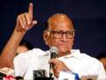 Sharad Pawar opposes to any move by Centre to import dairy products - Hindi News | Sharad Pawar opposes to any move by Centre to import dairy products | Latest maharashtra News at Lokmattimes.com