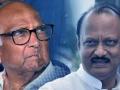 Mumbai: Sharad Pawar, Ajit Pawar call separate meeting of all party leaders on July 5 - Hindi News | Mumbai: Sharad Pawar, Ajit Pawar call separate meeting of all party leaders on July 5 | Latest maharashtra News at Lokmattimes.com