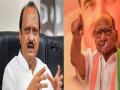Ajit Pawar takes a dig at 83-year-old Sharad Pawar, says BJP leaders retire at 75 - Hindi News | Ajit Pawar takes a dig at 83-year-old Sharad Pawar, says BJP leaders retire at 75 | Latest maharashtra News at Lokmattimes.com