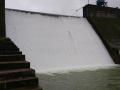 Maharashtra Rains: Torrential Showers Fill Bhavali Dam, Boost Water Reserves Across Igatpuri Taluka - Hindi News | Maharashtra Rains: Torrential Showers Fill Bhavali Dam, Boost Water Reserves Across Igatpuri Taluka | Latest nashik News at Lokmattimes.com