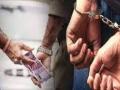 Palghar: Auditor held for taking Rs 2,000 bribe - Hindi News | Palghar: Auditor held for taking Rs 2,000 bribe | Latest maharashtra News at Lokmattimes.com