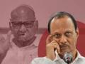 Sharad Pawar disclose wife Pratibha's role in bringing Ajit Pawar back into party fold - Hindi News | Sharad Pawar disclose wife Pratibha's role in bringing Ajit Pawar back into party fold | Latest maharashtra News at Lokmattimes.com