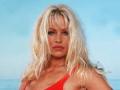 Pamela Anderson files for divorce as she splits from fifth husband Dan Hayhurst - Hindi News | Pamela Anderson files for divorce as she splits from fifth husband Dan Hayhurst | Latest entertainment News at Lokmattimes.com