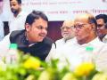 Fadnavis Slams Pawar Over 'Lack of Enthusiasm for Mahayuti Victory' Remark - Hindi News | Fadnavis Slams Pawar Over 'Lack of Enthusiasm for Mahayuti Victory' Remark | Latest maharashtra News at Lokmattimes.com