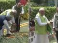 World Environment Day 2024: PM Narendra Modi Launches ‘Ek Ped Maa Ke Naam’ Campaign, Plants Sapling at Buddha Jayanti Park in Delhi (Watch Video) - Hindi News | World Environment Day 2024: PM Narendra Modi Launches ‘Ek Ped Maa Ke Naam’ Campaign, Plants Sapling at Buddha Jayanti Park in Delhi (Watch Video) | Latest national News at Lokmattimes.com