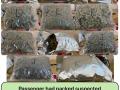 Major Drug Bust at Mumbai Airport: Hydroponic Weed Worth ₹22.39 Crore Seized - Hindi News | Major Drug Bust at Mumbai Airport: Hydroponic Weed Worth ₹22.39 Crore Seized | Latest mumbai News at Lokmattimes.com