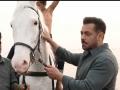 Did You Know? The Horse Featured in the Song Main Hoon from Battle of Galwan Is Salman Khan’s Own Horse - Hindi News | Did You Know? The Horse Featured in the Song Main Hoon from Battle of Galwan Is Salman Khan’s Own Horse | Latest entertainment News at Lokmattimes.com