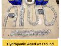 Mumbai: Four Arrested at CSMI Airport for Smuggling Hydroponic Ganja Worth ₹64 Crore - Hindi News | Mumbai: Four Arrested at CSMI Airport for Smuggling Hydroponic Ganja Worth ₹64 Crore | Latest mumbai News at Lokmattimes.com