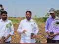 From One Peepal Tree to a Full-Fledged ‘Tree Army’: MLA Suhas Babar’s Green Movement Becomes a Model for Environmental Conservation - Hindi News | From One Peepal Tree to a Full-Fledged ‘Tree Army’: MLA Suhas Babar’s Green Movement Becomes a Model for Environmental Conservation | Latest social-viral News at Lokmattimes.com