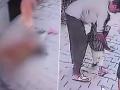 Bharatpur Horror: 5-Year-Old Girl Attacked by Pack of Stray Dogs In Rajasthan; Disturbing Video Surfaces - Hindi News | Bharatpur Horror: 5-Year-Old Girl Attacked by Pack of Stray Dogs In Rajasthan; Disturbing Video Surfaces | Latest national News at Lokmattimes.com