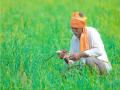 Budget 2020: PM - Kisan fund likely to be trimmed by 20% - Hindi News | Budget 2020: PM - Kisan fund likely to be trimmed by 20% | Latest national News at Lokmattimes.com