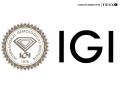 International Gemological Institute IPO: IGI Public Offer Issue Subscribed 13.74 Times on the Last Day; Check GMP and Other Key Details - Hindi News | International Gemological Institute IPO: IGI Public Offer Issue Subscribed 13.74 Times on the Last Day; Check GMP and Other Key Details | Latest national News at Lokmattimes.com