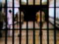 Delhi: Two Murder Accused Inmates Seriously Injured in Brawl at Tihar Jail - Hindi News | Delhi: Two Murder Accused Inmates Seriously Injured in Brawl at Tihar Jail | Latest national News at Lokmattimes.com