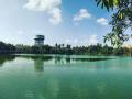 Maharashtra: Thane Municipal Corporation to beautify 15 lakes in city - Hindi News | Maharashtra: Thane Municipal Corporation to beautify 15 lakes in city | Latest maharashtra News at Lokmattimes.com