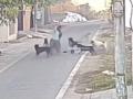 Jalandhar Stray Dogs Attack: 65-Year-Old Woman in Coma After Pack of Dogs Bite Her Near Wadala Chowk in Punjab; CCTV Footage Surfaces - Hindi News | Jalandhar Stray Dogs Attack: 65-Year-Old Woman in Coma After Pack of Dogs Bite Her Near Wadala Chowk in Punjab; CCTV Footage Surfaces | Latest national News at Lokmattimes.com