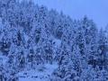 J&K Weather Update: Heavy Snowfall in Doda’s Bhalesa, Authorities Advise Residents to Stay Indoors - Hindi News | J&K Weather Update: Heavy Snowfall in Doda’s Bhalesa, Authorities Advise Residents to Stay Indoors | Latest national News at Lokmattimes.com