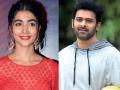 Prabhas upset with Pooja Hegde's behaviour? here's the exact truth - Hindi News | Prabhas upset with Pooja Hegde's behaviour? here's the exact truth | Latest entertainment News at Lokmattimes.com