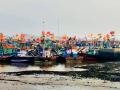 Uran: Rs 256-Crore Karanja Fishing Port Choked by Silt, Hundreds of Boats Stranded - Hindi News | Uran: Rs 256-Crore Karanja Fishing Port Choked by Silt, Hundreds of Boats Stranded | Latest navi-mumbai News at Lokmattimes.com