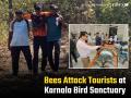 Bee Attack in Karnala: Koparkhairane Man Dies, Several Tourists Injured at Bird Sanctuary - Hindi News | Bee Attack in Karnala: Koparkhairane Man Dies, Several Tourists Injured at Bird Sanctuary | Latest navi-mumbai News at Lokmattimes.com