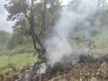 Uttarakhand Helicopter Crash: 3 of Family From Maharashtra Among 7 Killed in Kedarnath Chopper Accident - Hindi News | Uttarakhand Helicopter Crash: 3 of Family From Maharashtra Among 7 Killed in Kedarnath Chopper Accident | Latest national News at Lokmattimes.com